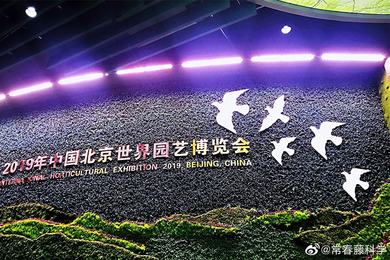 2019年4月30日：我司参加北京世界园艺博览会